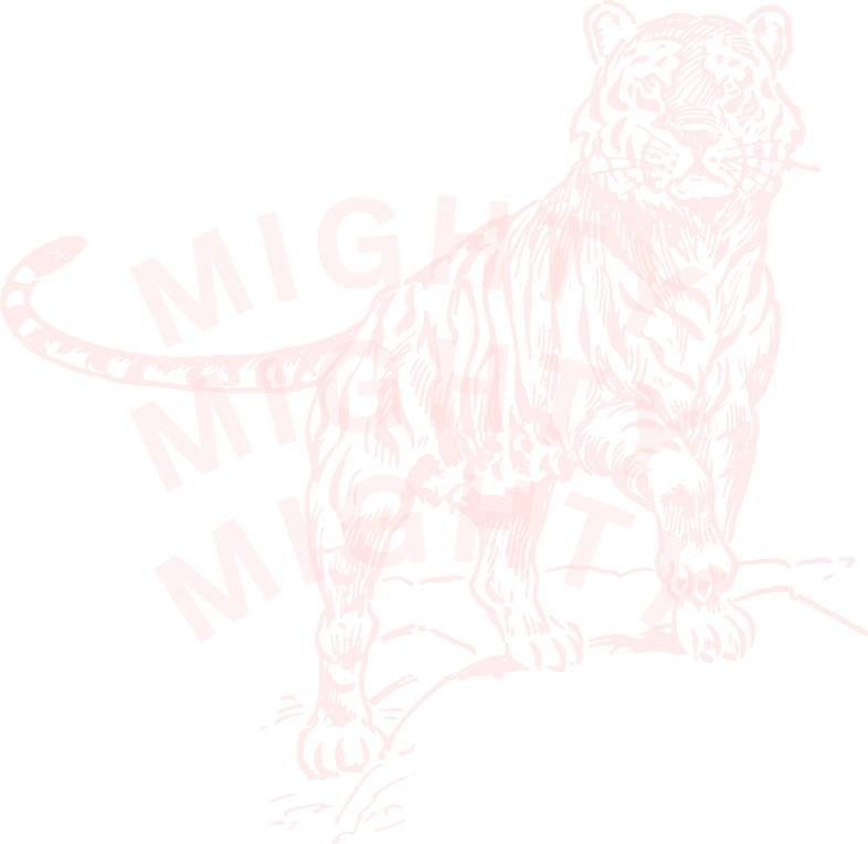 We are mighty!